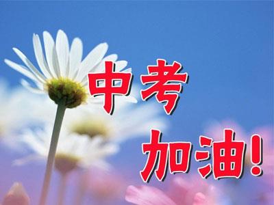 鹤壁找九年级家教哪家好？